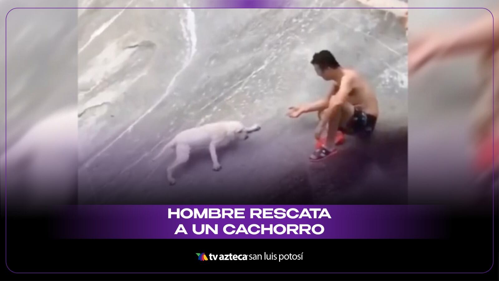 ¿El abrazo más conmovedor de internet? Arriesga su vida para salvar a un perrito atrapado