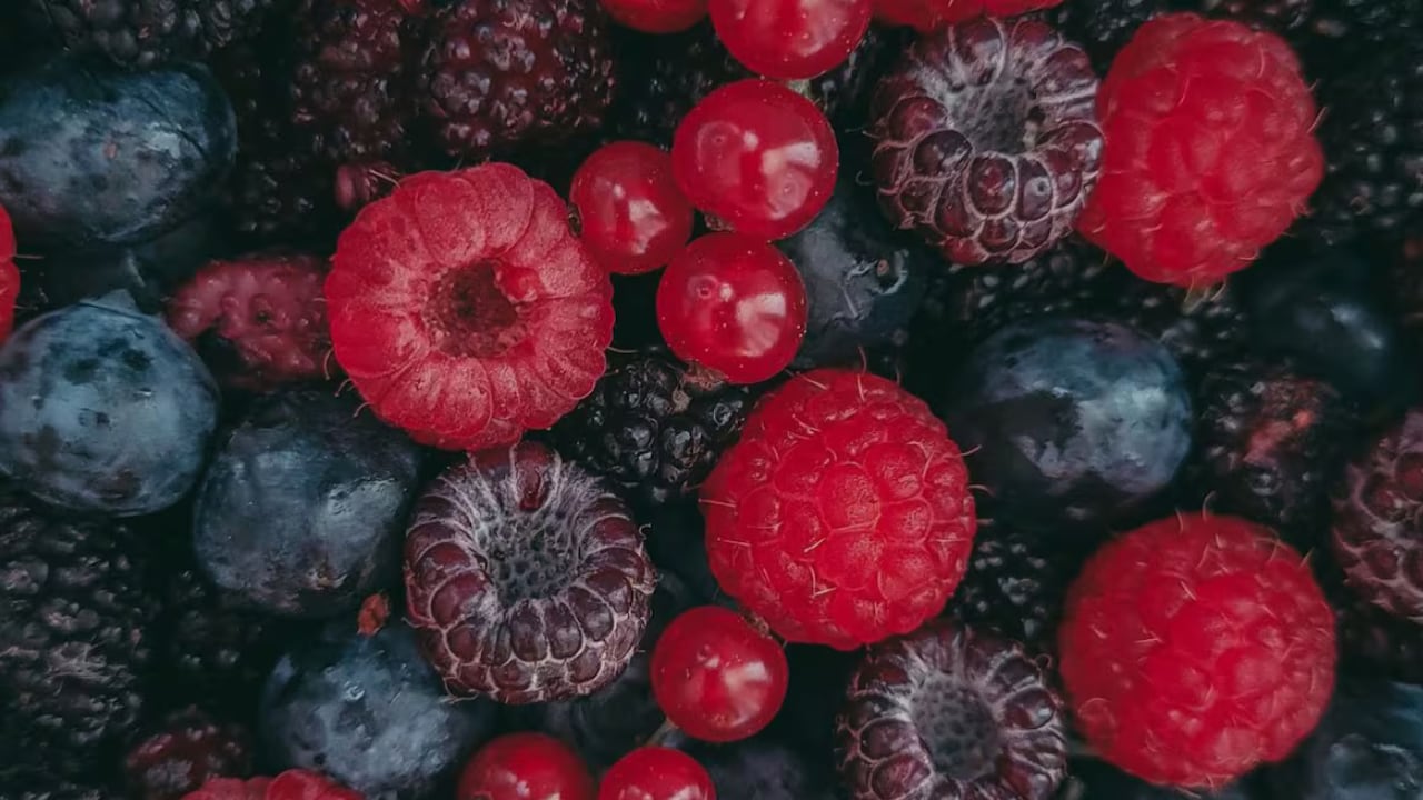 ¡ALERTA! Autoridades de salud advierten sobre frutos rojos congelados que pueden causar insuficiencia renal en Estados Unidos