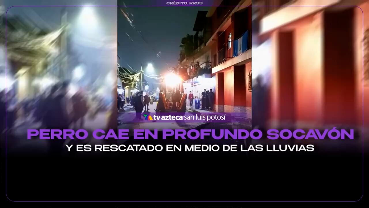 Este fue el conmovedor momento del rescate de un perro al haber caído en un profundo socavón