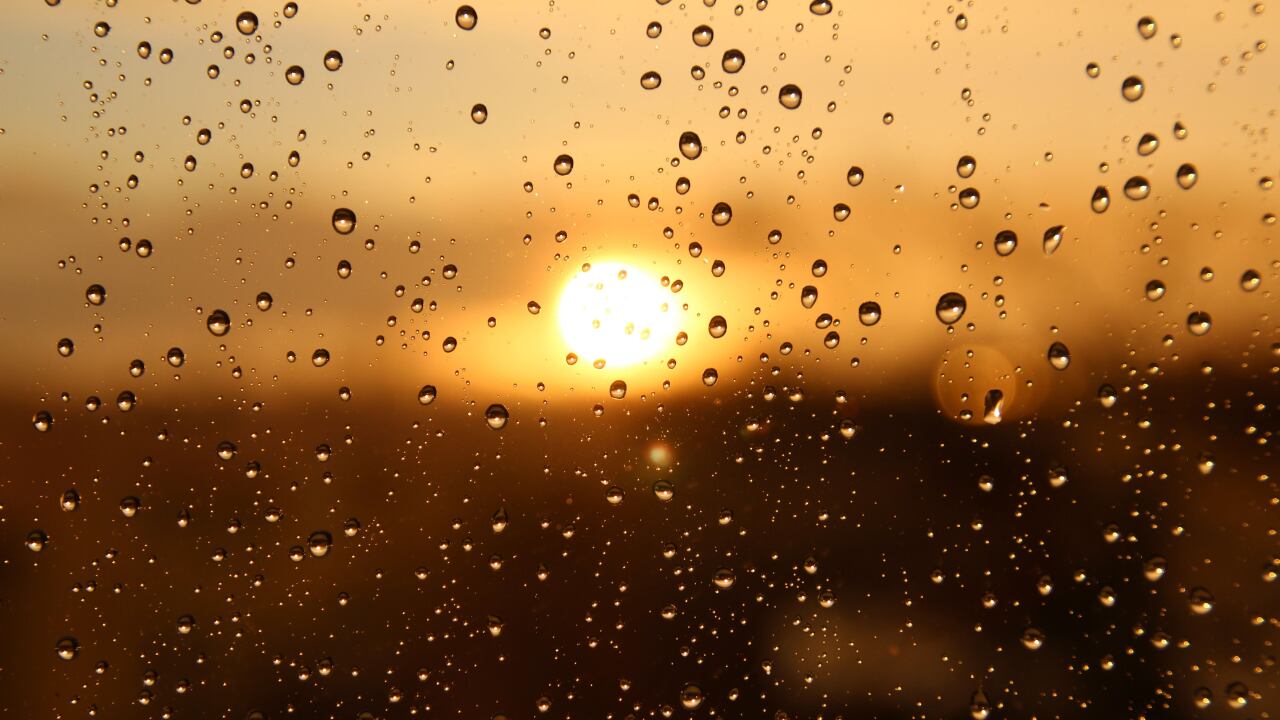 No guardes el paraguas: estas son las horas en que lloverá en San Luis Potosí HOY 7 de agosto